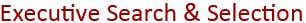 Executive Search & Selection Executive Search & Selection